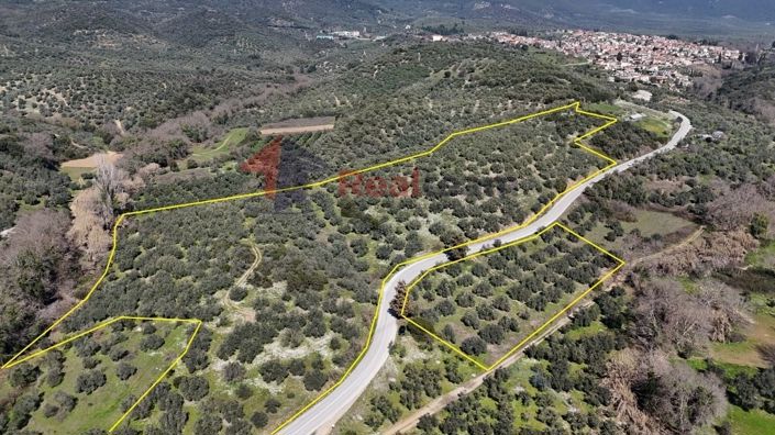 Image No.18-Property for sale