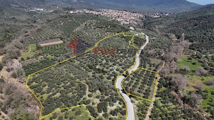 Image No.2-Property for sale