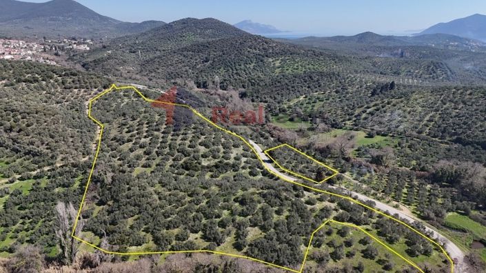 Image No.5-Property for sale