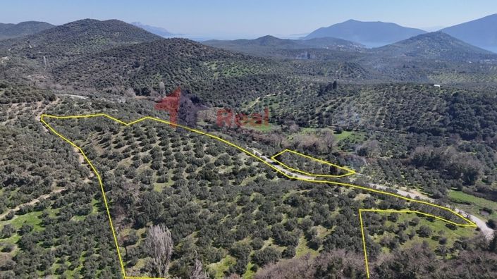 Image No.6-Property for sale