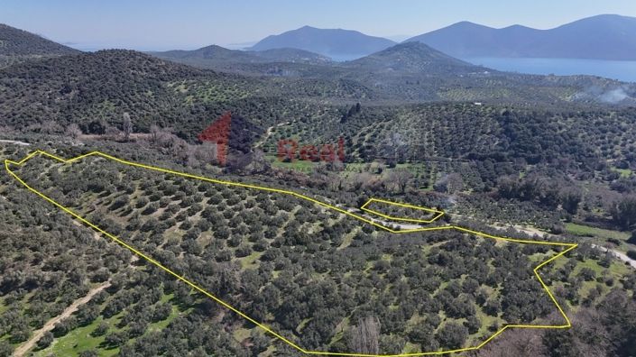 Image No.7-Property for sale