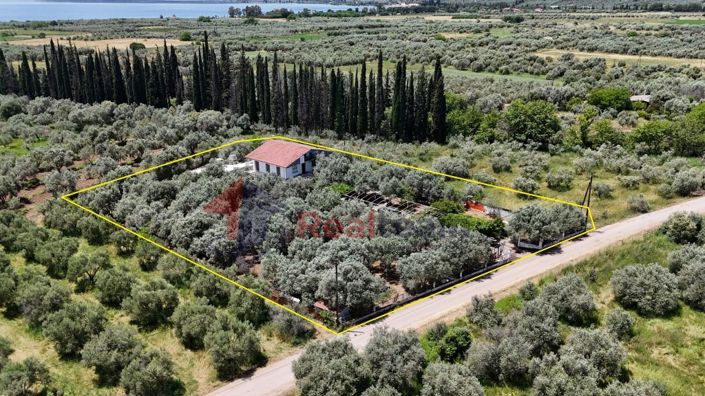 Image No.2-6 Bed Property for sale