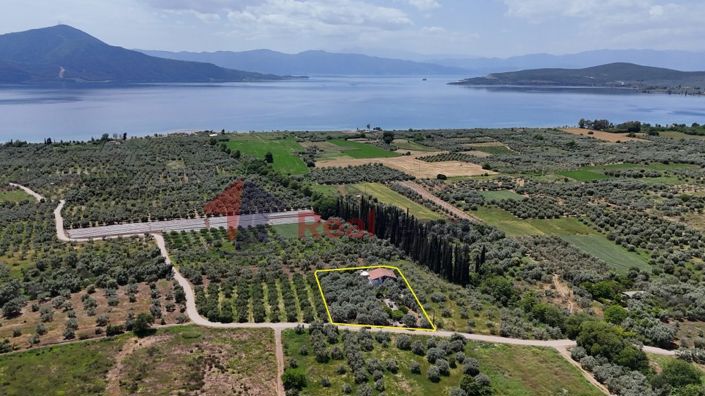 Image No.26-6 Bed Property for sale