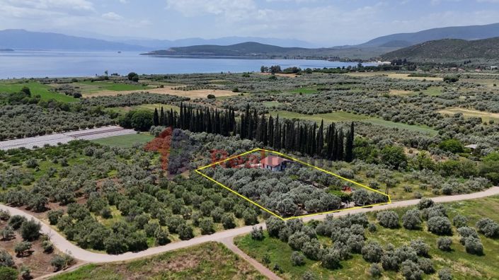 Image No.3-6 Bed Property for sale