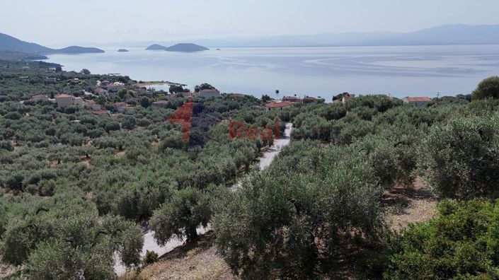 Image No.15-Property for sale