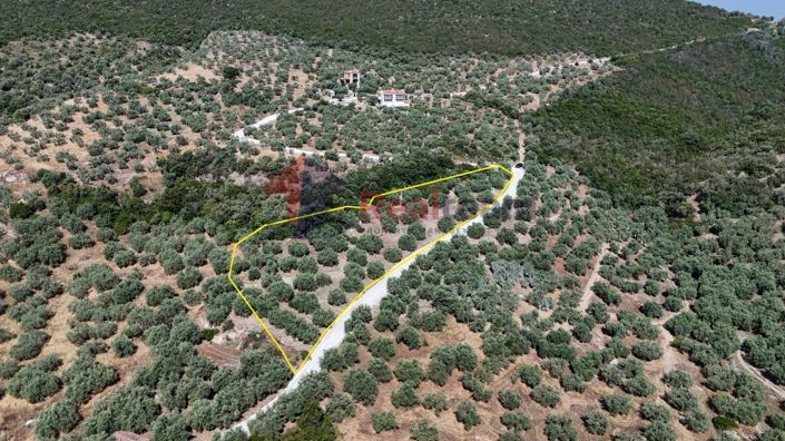 Image No.16-Property for sale