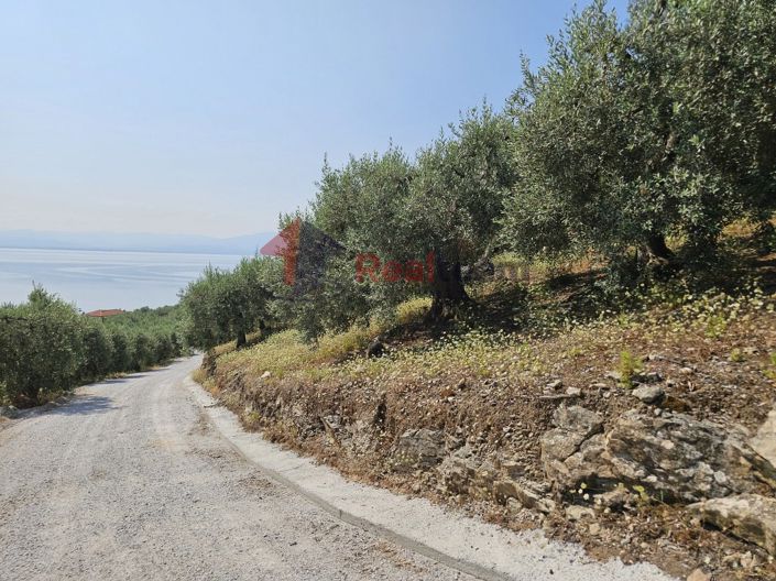 Image No.6-Property for sale