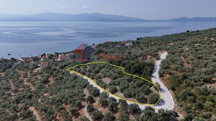 Image No.8-Property for sale