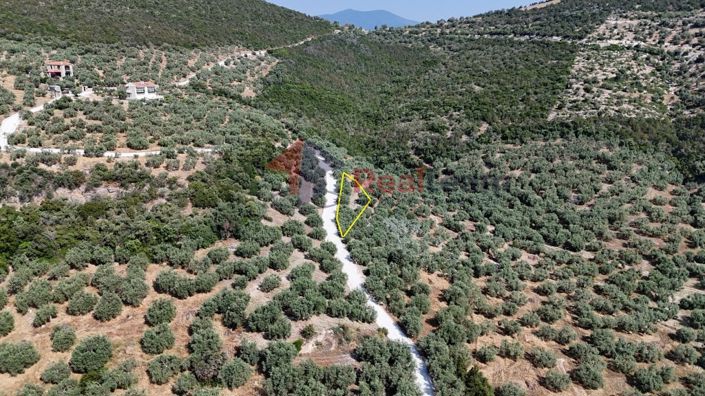 Image No.15-Propriété à vendre à Pteleos