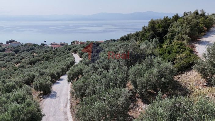 Image No.20-Propriété à vendre à Pteleos