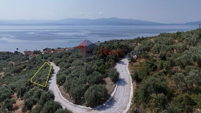 Image No.3-Propriété à vendre à Pteleos