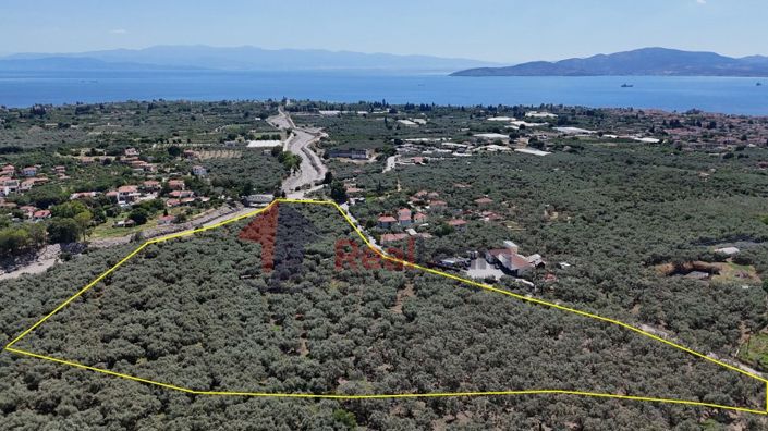 Image No.11-Propriété à vendre à Artemida