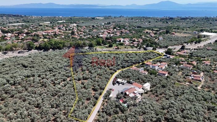 Image No.15-Propriété à vendre à Artemida