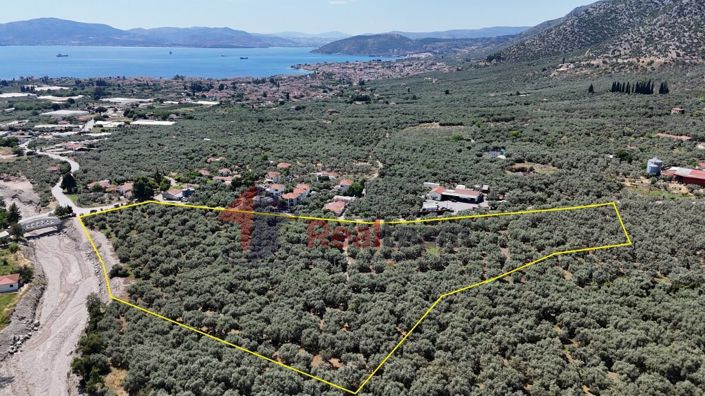 Image No.3-Propriété à vendre à Artemida