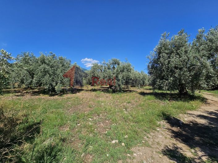 Image No.5-Propriété à vendre à Artemida