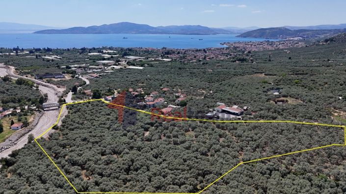 Image No.9-Propriété à vendre à Artemida