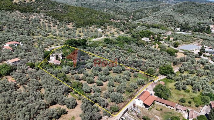 Image No.19-Property for sale