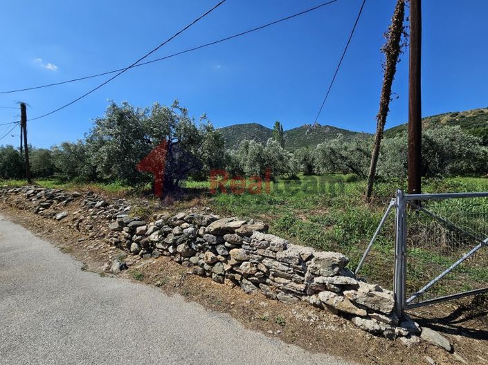 Image No.20-Property for sale