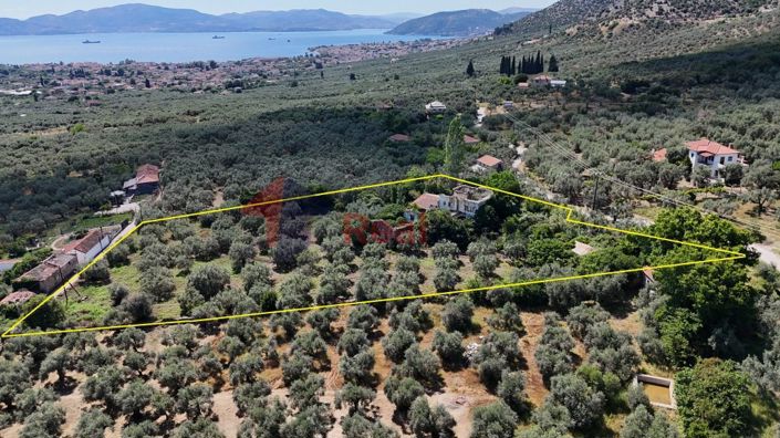 Image No.3-Property for sale