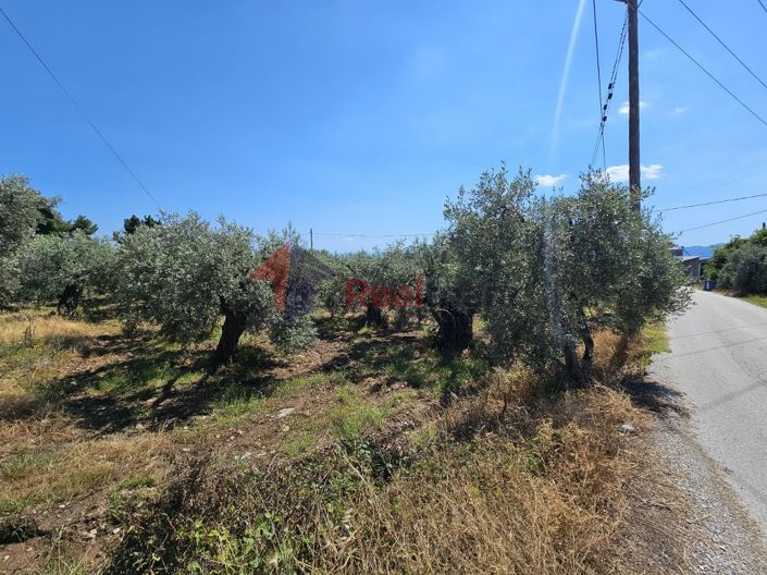 Image No.11-Propriété à vendre à Artemida