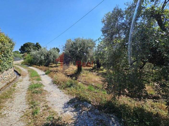 Image No.12-Propriété à vendre à Artemida