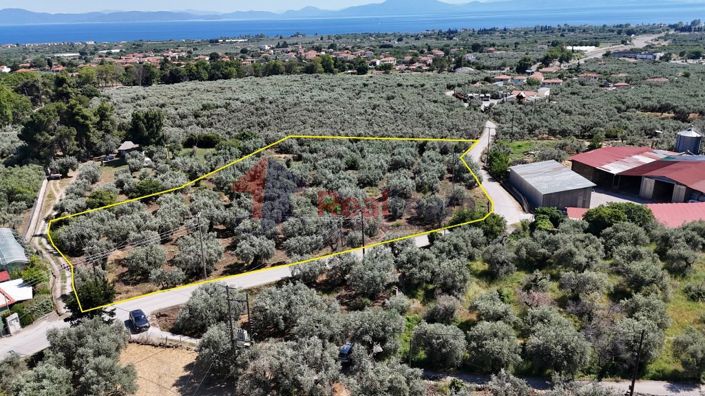 Image No.13-Propriété à vendre à Artemida