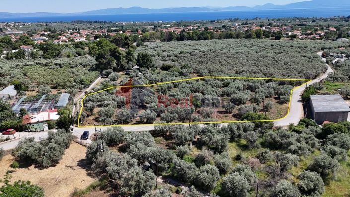 Image No.14-Propriété à vendre à Artemida