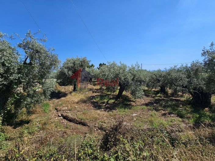 Image No.17-Propriété à vendre à Artemida