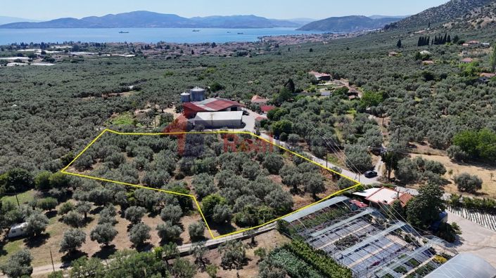 Image No.19-Propriété à vendre à Artemida