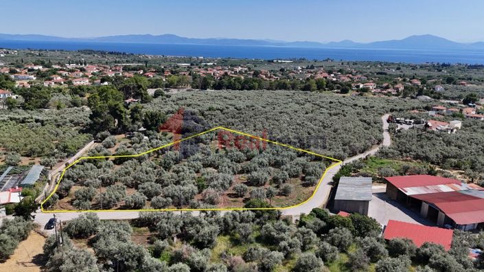 Image No.2-Propriété à vendre à Artemida