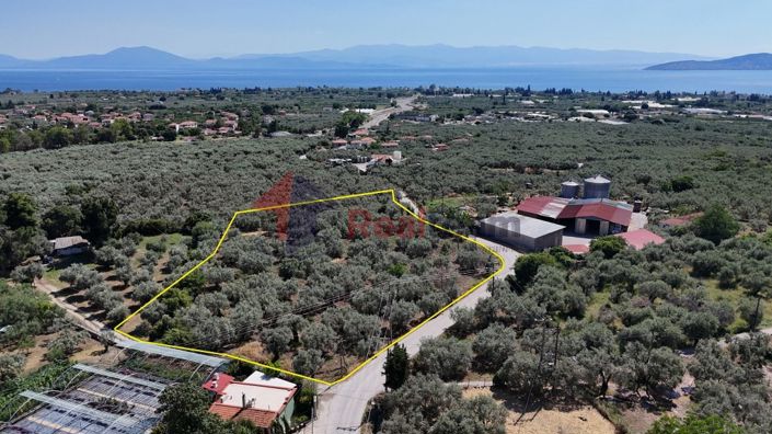 Image No.5-Propriété à vendre à Artemida