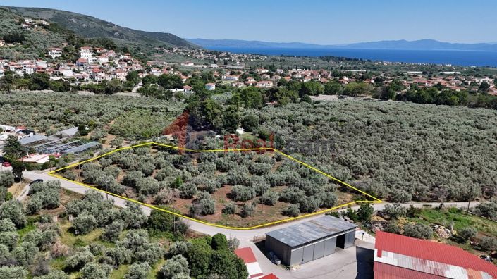 Image No.8-Propriété à vendre à Artemida