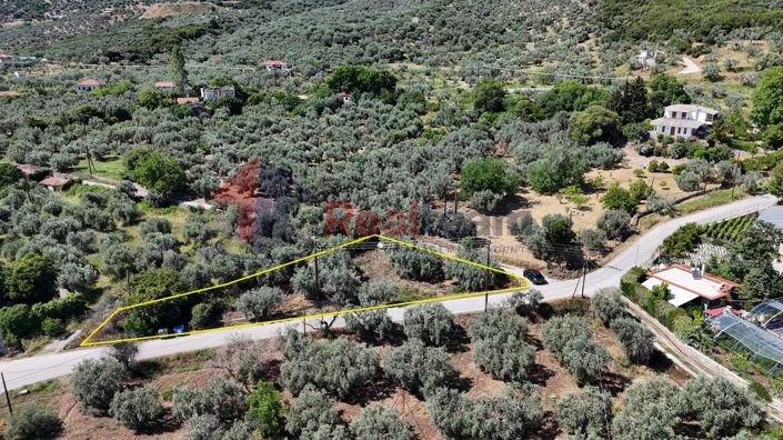 Image No.14-Property for sale