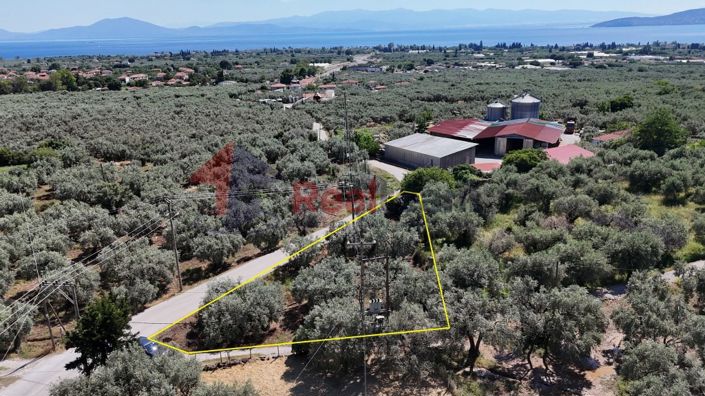 Image No.3-Property for sale