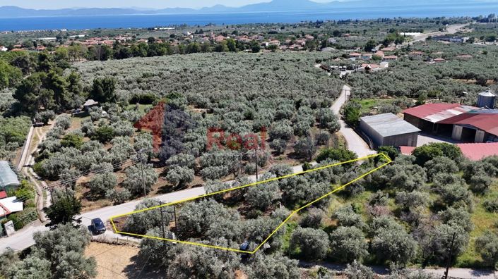 Image No.5-Property for sale