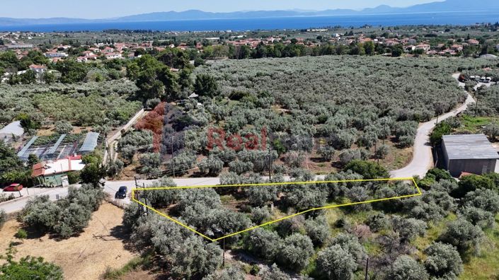 Image No.6-Property for sale