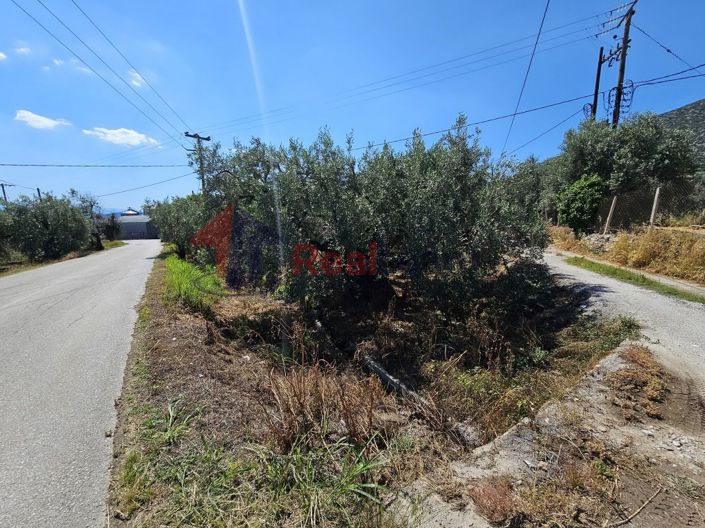 Image No.8-Property for sale