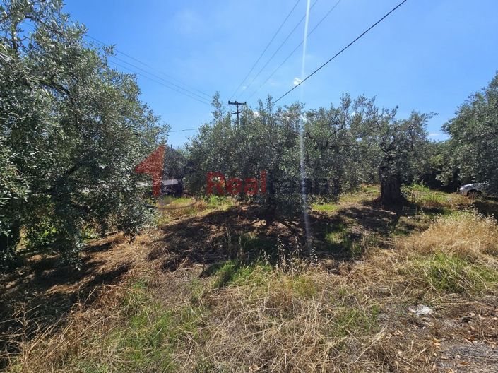 Image No.9-Property for sale