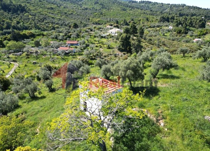 Image No.11-Property for sale