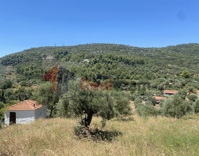 Image No.20-Property for sale