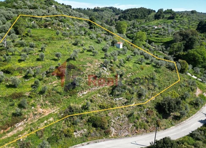 Image No.5-Property for sale