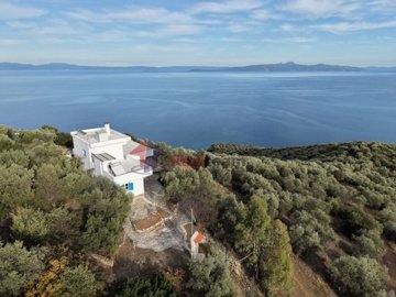 ee2d152c30334ca28dc3a33503a1392d