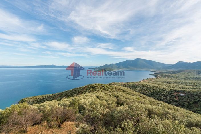 Image No.19-2 Bed Property for sale