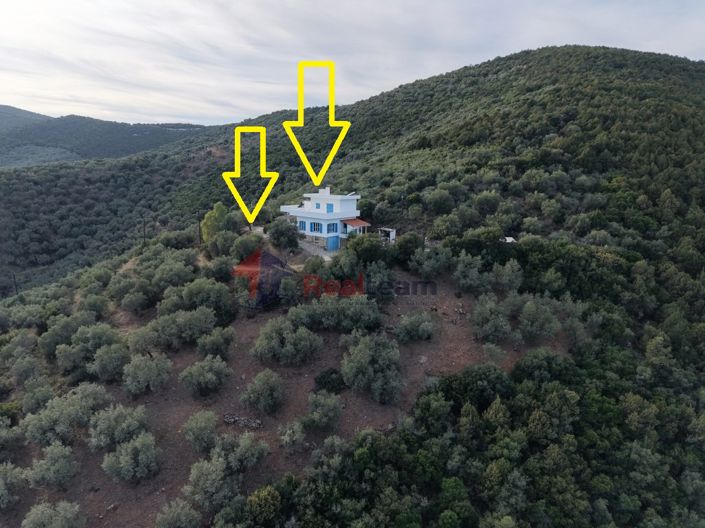 Image No.27-2 Bed Property for sale