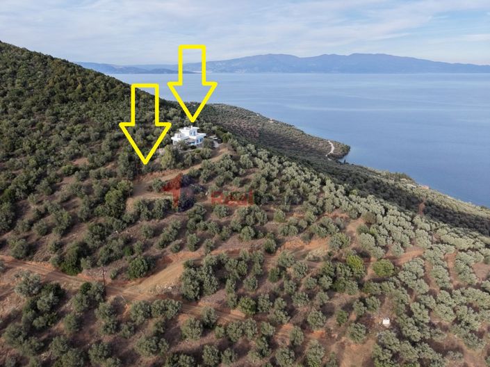 Image No.28-2 Bed Property for sale