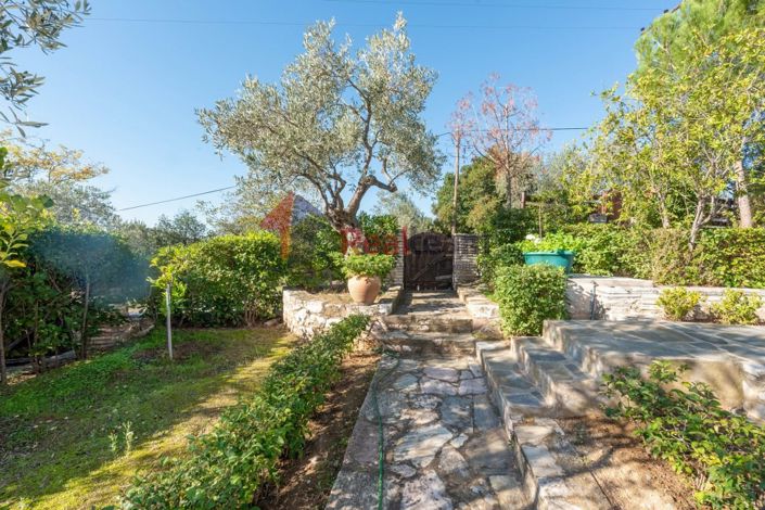 Image No.27-Propriété de 3 chambres à vendre à Pteleos