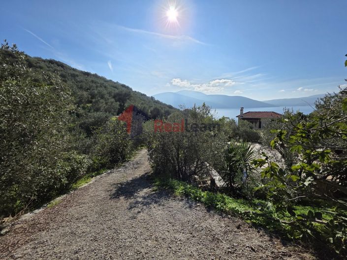 Image No.10-Property for sale