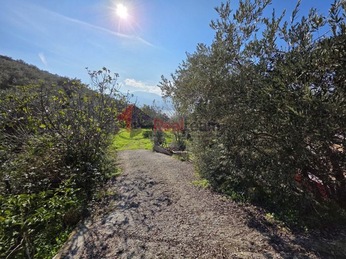 Image No.12-Property for sale