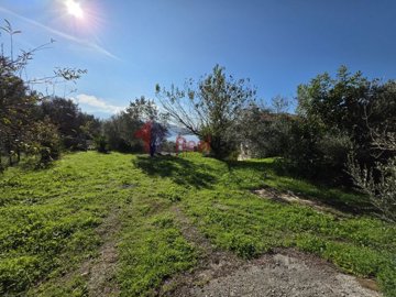 1fef9c5461d4442f94efc87c59972ccf