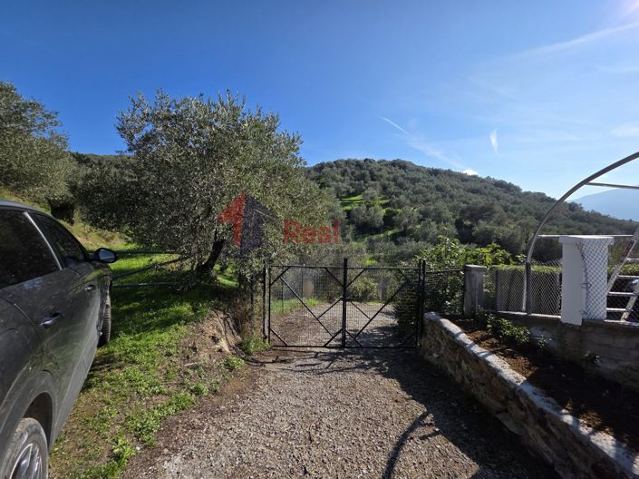 Image No.8-Property for sale